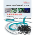 Oil and Gas Sealing Products